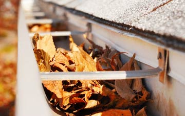 Abingdon gutter cleaning companies