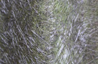 Abingdon fibreglass roof work